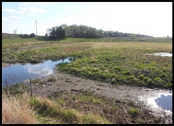 Seasonal Riparian Area - before