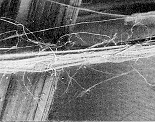Asbestos crystal fibers